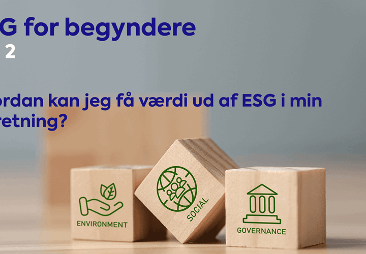 ESG for begyndere